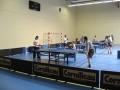 Vivi contre Alain