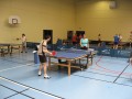 Nico contre Aline